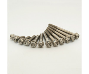 SCAR Titanium Engine Bolt Kit